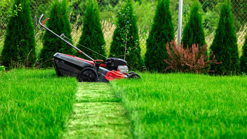 10 Steps for Simple Spring Lawn Care